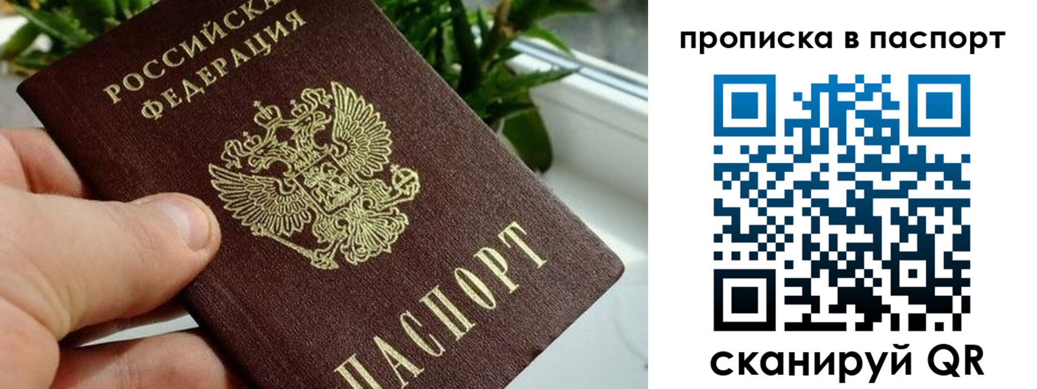 временная регистрация купить в Кировске